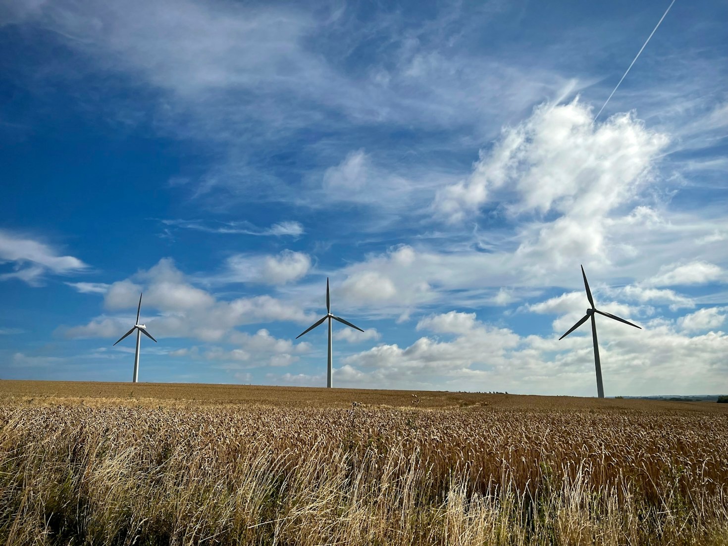 Top Innovations Shaping the Future of Wind Energy