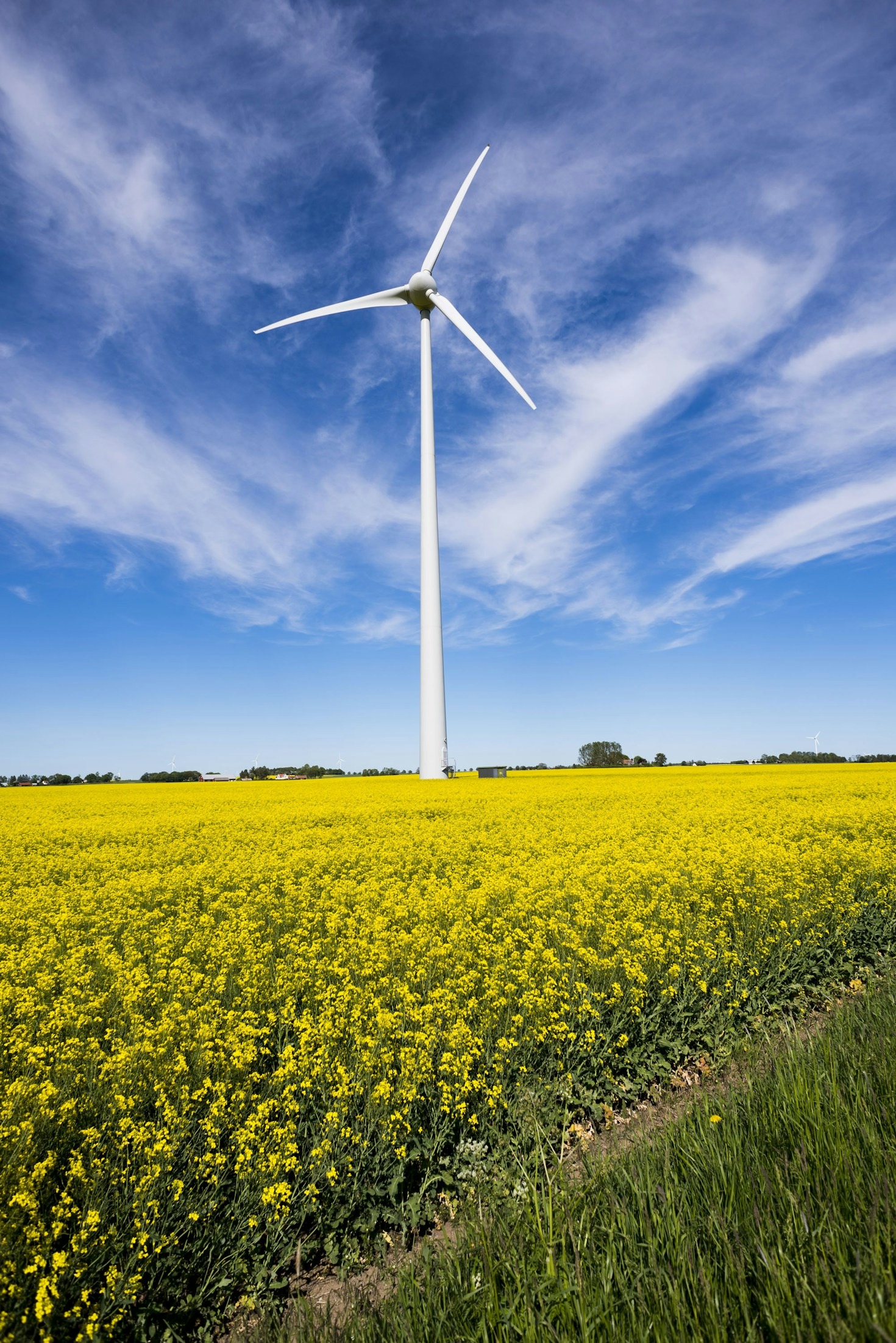 Exploring the Growth of Renewable Energy Markets